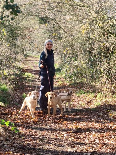 Maria Cameron - Labrador breeder