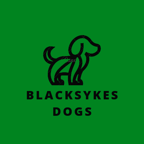 Blacksykes dogs - Licensed Labrador breeder