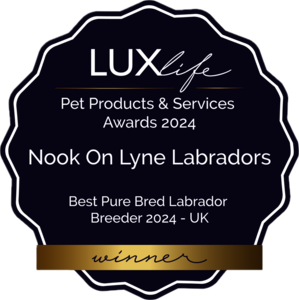 Nook on Lyne Labradors - Licensed Labrador breeder